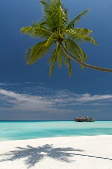 Luxury over-water bungalow at Gili Lankanfushi Resort Maldives and beach with palm trees Luxury over-water bungalow at Gili Lankanfushi Resort Maldives and beach with palm trees