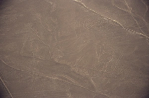 Monkey, Nazca (Nasca) Lines Monkey, Nazca (Nasca) Lines