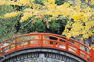 A red arched bridge and yellow gingko tree leaves, Shimogamo Shrine, Tadasu no Mori A red arched bridge and yellow gingko tree leaves, Shimogamo Shrine, Tadasu no Mori
