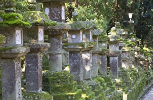 Stone lanterns at dusk at Kasuga Taisha Shrine, UNESCO World Heritage Site, Nara, Kansai Stone lanterns at dusk at Kasuga Taisha Shrine, UNESCO World Heritage Site, Nara, Kansai