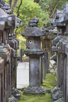 Stone lanterns at Kasuga Taisha Shrine at dusk, UNESCO World Heritage Site, Nara, Kansai Stone lanterns at Kasuga Taisha Shrine at dusk, UNESCO World Heritage Site, Nara, Kansai