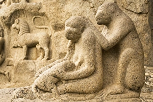 A stone sculpture depicts a group of monkeys grooming close to Arjunas Penance within the A stone sculpture depicts a group of monkeys grooming close to Arjunas Penance within the
