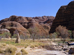 Termite mound, grasses and trees with typical rounded rocks in the background Termite mound, grasses and trees with typical rounded rocks in the background