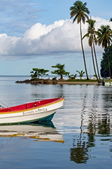 Traditional fishing boat moored at Marigot Bay with tall palms on the small beach in the Traditional fishing boat moored at Marigot Bay with tall palms on the small beach in the