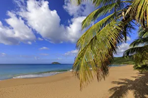 Tropical Anse de la Perle beach, palm trees, golden sand, blue sea Tropical Anse de la Perle beach, palm trees, golden sand, blue sea