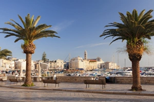 View over the harbour to San Nicola Pellegrino cathedral, Trani, Le Murge, Barletta-Andria-Trani View over the harbour to San Nicola Pellegrino cathedral, Trani, Le Murge, Barletta-Andria-Trani