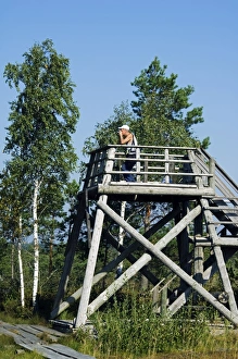 Baltic States Latvia Observation Platform in the protected Baltic States Latvia Observation Platform in the protected