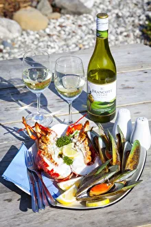 New Zealand Crayfish New Zealand Crayfish