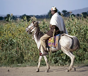 A man rides to market on his gaily-caprisoned pony A man rides to market on his gaily-caprisoned pony