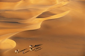 Niger, Tenere Desert Niger, Tenere Desert
