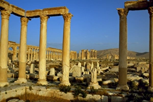 Pillars of the 'Great Colonnade' stretch into Pillars of the 'Great Colonnade' stretch into