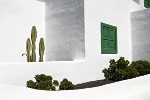 La Casa Museo a La Campesino or the Farmhouse Museum. Cactus growing against white walls La Casa Museo a La Campesino or the Farmhouse Museum. Cactus growing against white walls