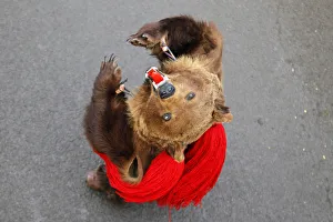A dancer from Romania's northeastern region of Moldova performs the 'bear' dance A dancer from Romania's northeastern region of Moldova performs the 'bear' dance