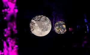An earth and moon installation are reflected at the Enchanted Forest 2019 event Cosmos An earth and moon installation are reflected at the Enchanted Forest 2019 event Cosmos
