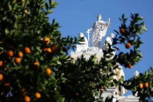 Riverside County Court House is seen behind an orange tree in Riverside Riverside County Court House is seen behind an orange tree in Riverside