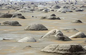 Rocks known as 'El Mokhimat' are seen in the Old White Desert near the Farafra Oasis Rocks known as 'El Mokhimat' are seen in the Old White Desert near the Farafra Oasis