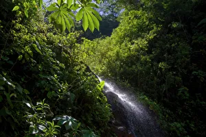 A small cascade is seen at the Manu Biosphere Reserve Cloud Forest in Peru's southern A small cascade is seen at the Manu Biosphere Reserve Cloud Forest in Peru's southern