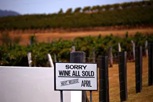 Vines can be seen behind asign on display at the main entrance to Lake's Folly Vineyard Vines can be seen behind asign on display at the main entrance to Lake's Folly Vineyard