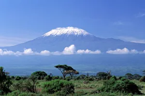 Africa, Tanzania. Mount Kilimanjaro, African landscape and zebra Africa, Tanzania. Mount Kilimanjaro, African landscape and zebra