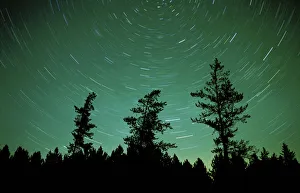 Canada, Manitoba, Sandilands Provincial Forest. Star trails and northern lights. Credit as Canada, Manitoba, Sandilands Provincial Forest. Star trails and northern lights. Credit as