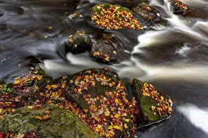 Rapids and autumn leaves along the Little Carp River in Porcupine Mountains Wilderness Rapids and autumn leaves along the Little Carp River in Porcupine Mountains Wilderness