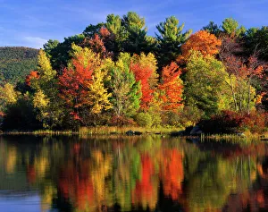 USA, New Hampshire, Moultonborough. Trees in autumn color reflecting in Lake Kanasatka USA, New Hampshire, Moultonborough. Trees in autumn color reflecting in Lake Kanasatka