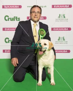 Crufts 2019 - Best of Breed / Gundog Crufts 2019 - Best of Breed / Gundog