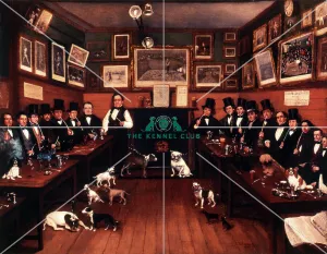 An Early Canine Meeting An Early Canine Meeting
