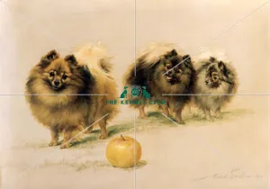 Lady Wavertree's Pomeranians Lady Wavertree's Pomeranians