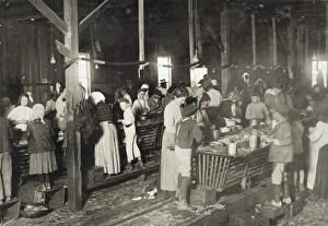 HINE: CANNERY, 1911. Men, women, and young children at work in the Gorenflo Canning HINE: CANNERY, 1911. Men, women, and young children at work in the Gorenflo Canning