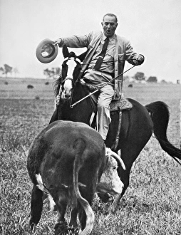 LYNDON BAINES JOHNSON (1908-1973). 36th President of the United States. Photographed the day after his victory in the election of 1964, riding his horse, Lady B. on his ranch in Texas LYNDON BAINES JOHNSON (1908-1973). 36th President of the United States. Photographed the day after his victory in the election of 1964, riding his horse, Lady B. on his ranch in Texas