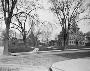 MASSACHUSETTS: SPRINGFIELD. A view of Springfield, Massachusetts. Photograph, c1905 MASSACHUSETTS: SPRINGFIELD. A view of Springfield, Massachusetts. Photograph, c1905