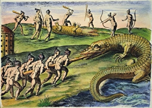 NATIVE AMERICANS: CROCODILES, 1591. Florida Native Americans killing crocodiles NATIVE AMERICANS: CROCODILES, 1591. Florida Native Americans killing crocodiles