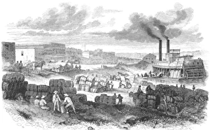 SHREVEPORT: LEVEE, 1872. The levee at Shreveport, Louisiana. Wood engraving, 1872 SHREVEPORT: LEVEE, 1872. The levee at Shreveport, Louisiana. Wood engraving, 1872