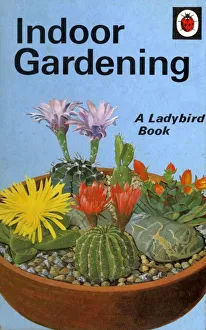 1960s, UK, Ladybird Indoor Gardening, Book Cover 1960s, UK, Ladybird Indoor Gardening, Book Cover