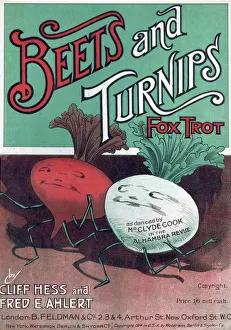 B Feldman & Co 1920s UK cc and company vegetables fox trot beetroots turnips songs B Feldman & Co 1920s UK cc and company vegetables fox trot beetroots turnips songs