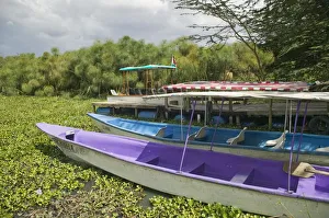 Africa, Kenya, Lake Naivasha, Fisherman's Camp, tourist boats moored on lake covered Africa, Kenya, Lake Naivasha, Fisherman's Camp, tourist boats moored on lake covered