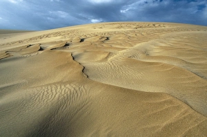 Venezuela, Falcon, Paraguana Peninsula, Isthmus of Medanos, Medanos de Coro National Park Venezuela, Falcon, Paraguana Peninsula, Isthmus of Medanos, Medanos de Coro National Park