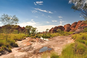 The Bungle Bungle Valley, Purnululu National Park The Bungle Bungle Valley, Purnululu National Park
