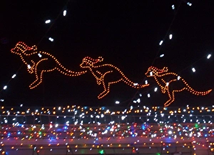 <b class=qtipBold><figcaption>Christmas kangaroos</figcaption></b><br>Christmas lights in the shape of kangaroos wearing Santa hats Christmas kangaroos