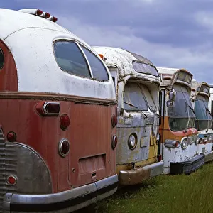 abandoned, automobiles, buses, california, corrosion, day, dilapidated, neglected abandoned, automobiles, buses, california, corrosion, day, dilapidated, neglected
