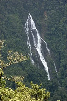 <b class=qtipBold><figcaption>Agumbe waterfalls</figcaption></b><br>The falls during summer time in Agumbe in western ghats of India. Agumbe waterfalls