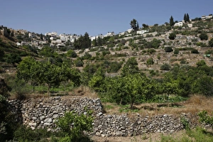 Ancient terraces of Battir Ancient terraces of Battir