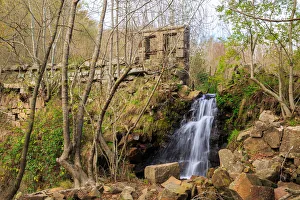 Autumn at Montseny Autumn at Montseny