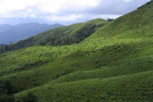 <b class=qtipBold><figcaption>Bababudangiri range</figcaption></b><br>Bababudangiri mountain in Dattagiri Hill Range of Western Ghats of India. Bababudangiri range