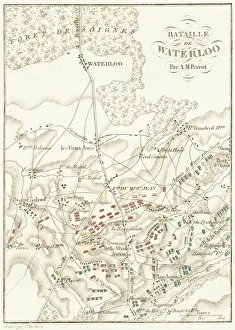 Battle Of Waterloo Battle Of Waterloo