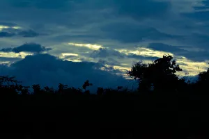 <b class=qtipBold><figcaption>Blue skies</figcaption></b><br>Silhouette, blue, sky, cloud, rainy season, tree, India, Western Ghats, Maharashtra, hill, mountain Blue skies