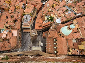 Bologna Vertigo Bologna Vertigo