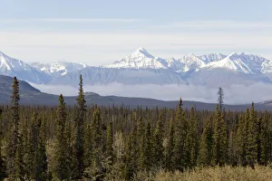 Boreal forest, St. Elias Mountains, Kluane National Park and Reserve, from Alaska Highway Boreal forest, St. Elias Mountains, Kluane National Park and Reserve, from Alaska Highway