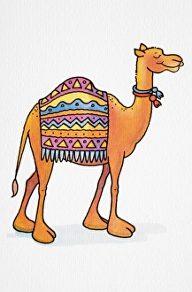 Cartoon, smiling Dromedary (Camelus dromedarius) standing with its eyes closed, two colourful collars around its neck and patterned rug draped across its back, side view Cartoon, smiling Dromedary (Camelus dromedarius) standing with its eyes closed, two colourful collars around its neck and patterned rug draped across its back, side view